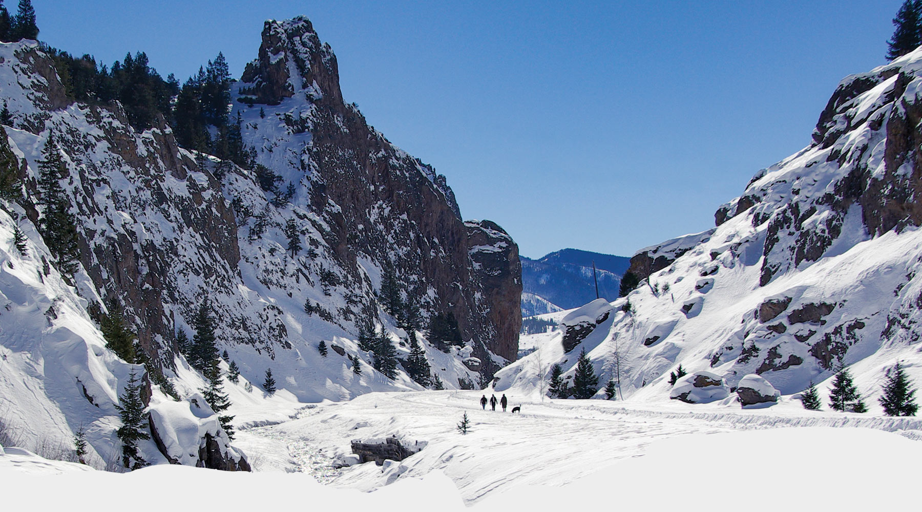 winter_bobseago_willowcreek